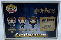 Harry Potter, Ron Weasley & Hermione Granger from Harry Potter - Pop! Sets manufactured by Funko [Back]