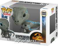 Velociraptors (Blue & Beta) from Jurassic World - Dominion - Pop! Vinyl Figures manufactured by Funko [Front]